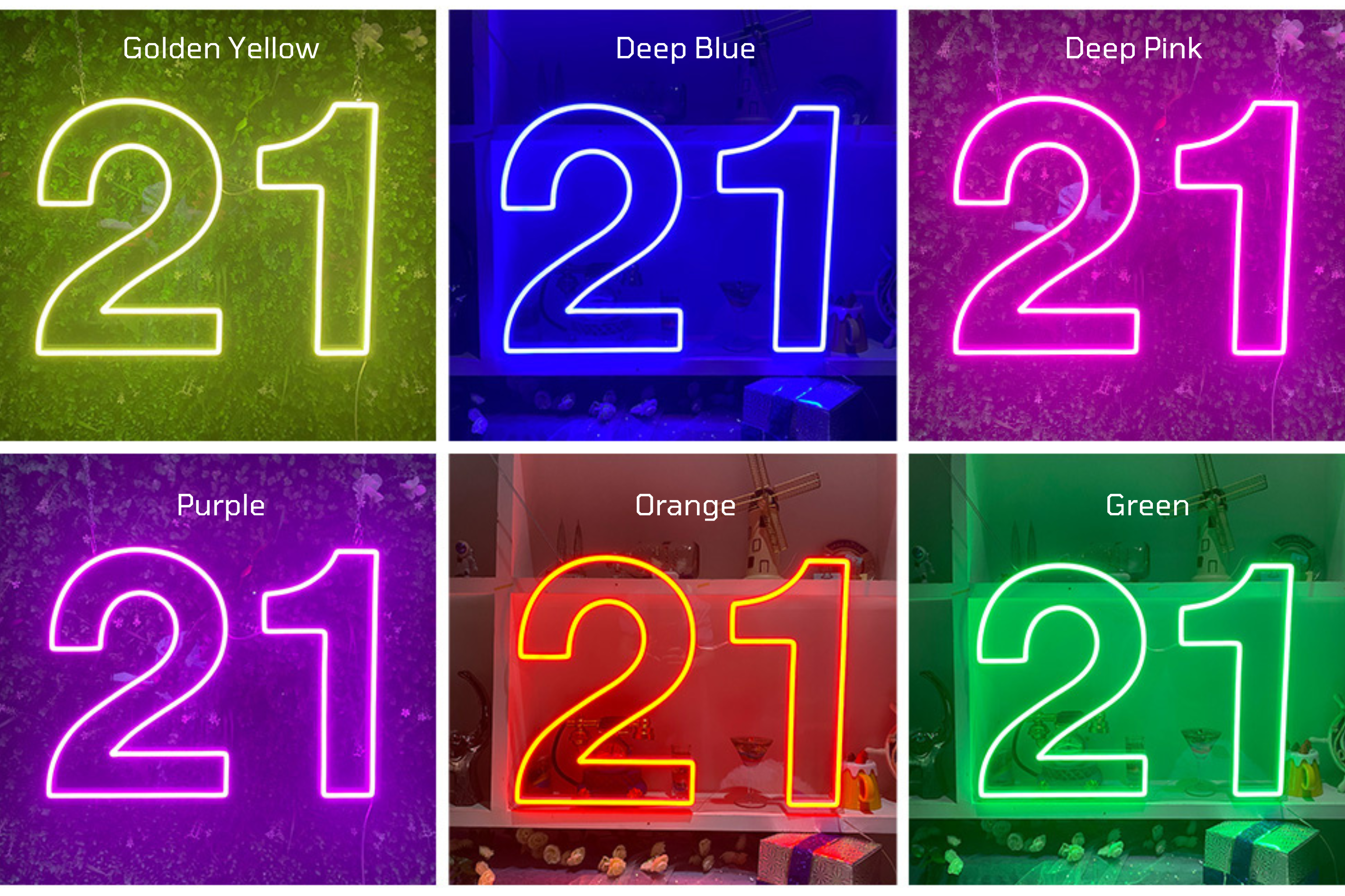 21 Twenty-First Birthday Neon Sign