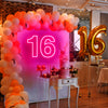 16th Sixteen Birthday Background Sign
