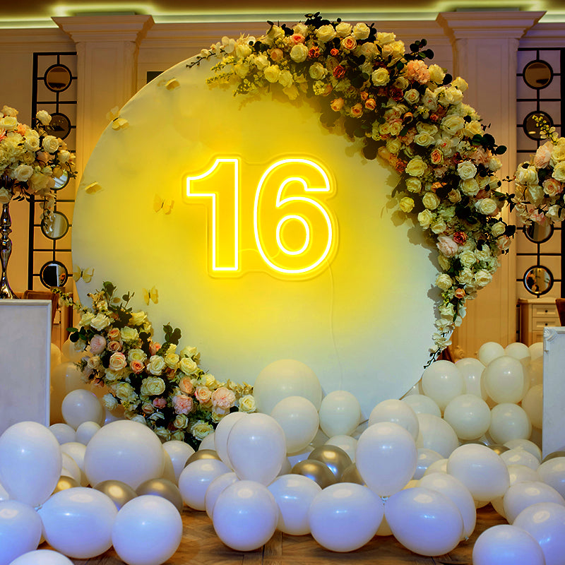 16th Sixteen Birthday Background Sign