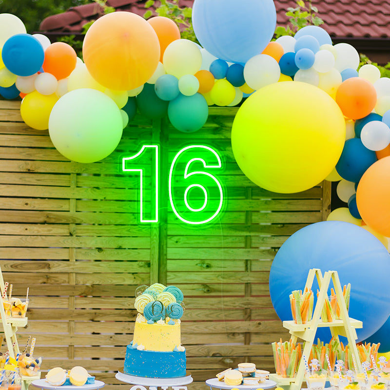 16th Sixteen Birthday Background Sign