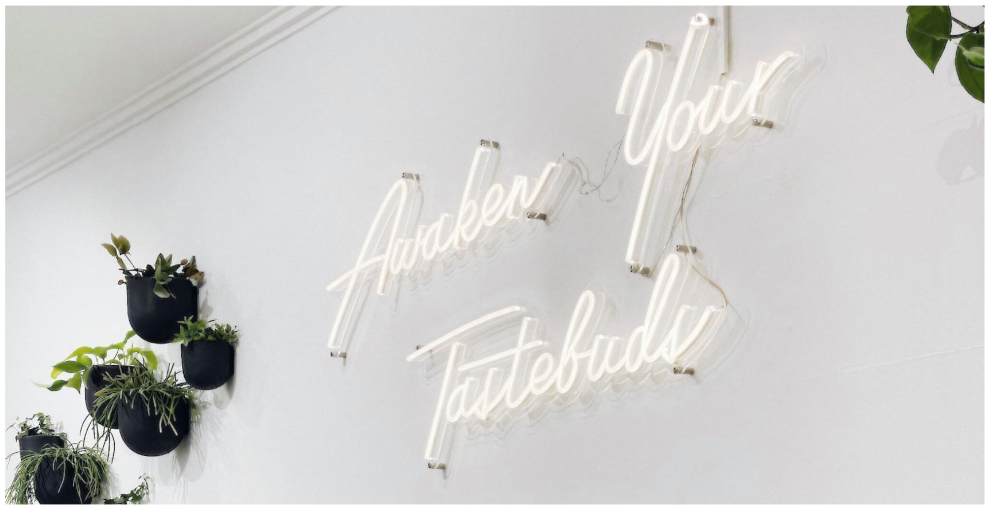 White Neon Signs On White Walls - Do They Work?