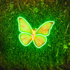 Beauty Butterfly Neon Wall Art