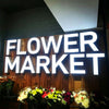 Front lit sign letters signs