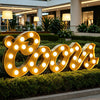 LED bulb letters signs