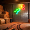 Jumping Horse Neon Sign