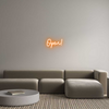 Custom neon sign Open!