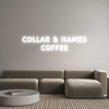 Custom neon sign Collar & Hame...