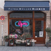 Ellipse Open signs