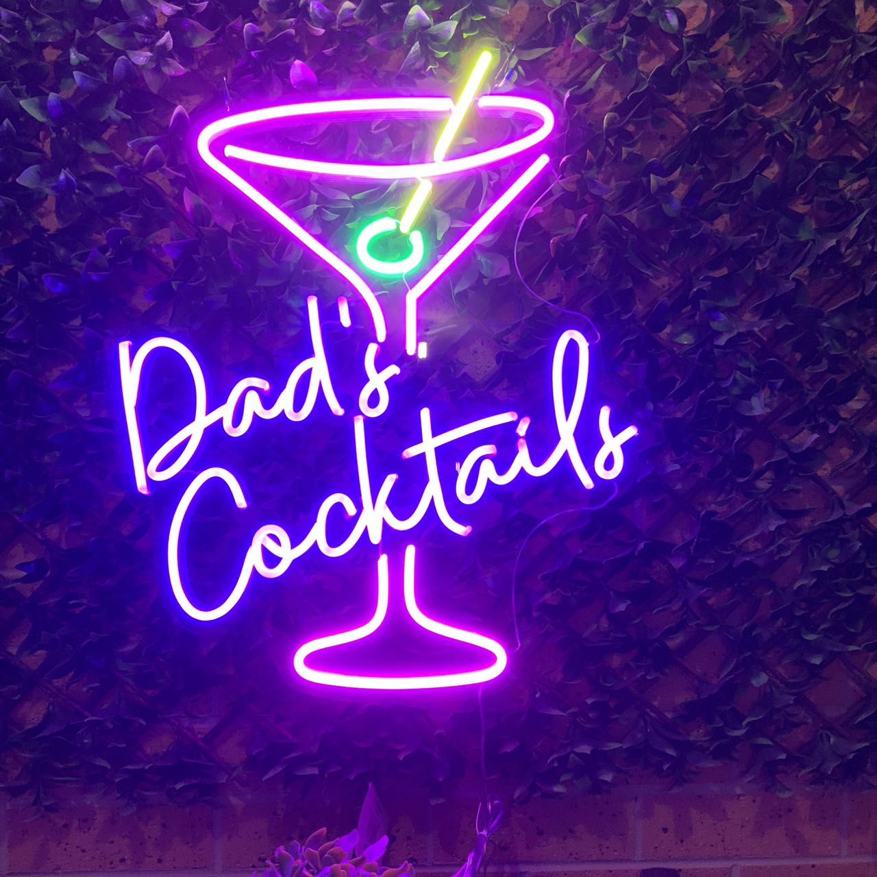 50% OFF Clearance Sale-Dad's Cocktails